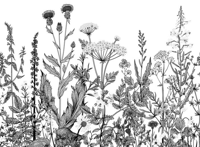Black and white botanical folk wallpaper