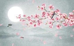 Poetic cherry blossom floral bathroom wallpaper