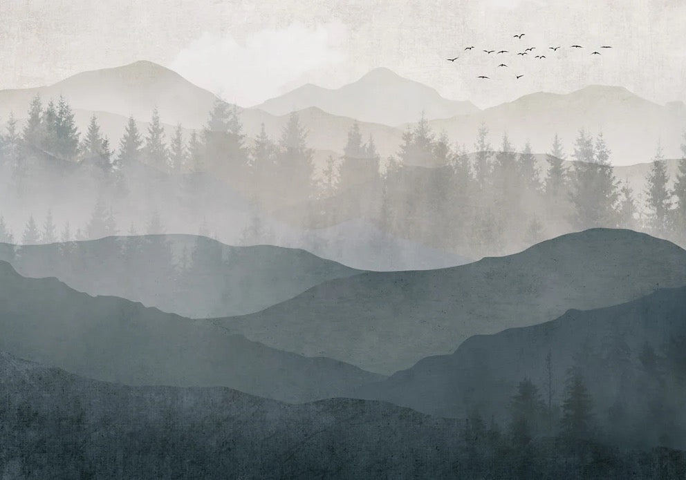 Black and white panorama nature wallpaper