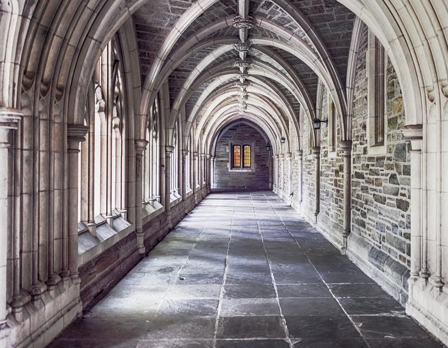 Trompe l'oeil wallpaper Parisian cathedral alcove