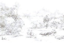 Watercolor pine forest wallpaper