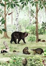 Forest softness baby wallpaper