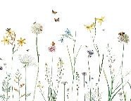 Enchanted Grass Wallpaper