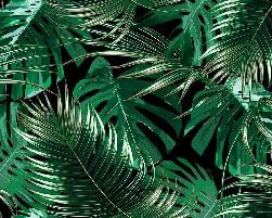 Papier peint salle de bain intissé grandes feuilles vertes, XXL, tendance