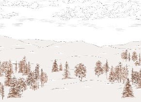 Cimes sépia sketch wallpaper