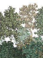 Landscape wallpaper forest engraving
