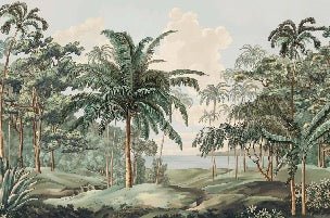 Sulawesi landscape wallpaper