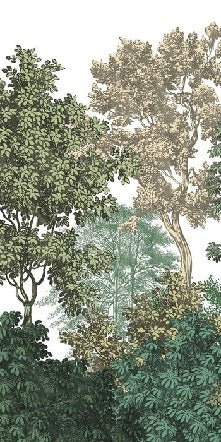 Forest landscape engraving wallpaper