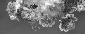 Black and white peony flower wallpaper