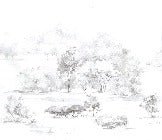 Watercolor pine forest wallpaper