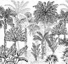 Trendy coconut jungle wallpaper