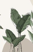 Graphic plant panorama wallpaper taupe
