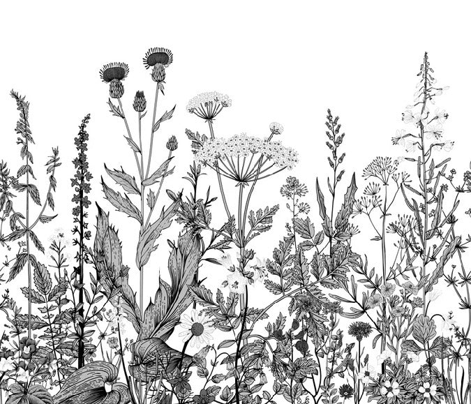 Black and white botanical folk wallpaper