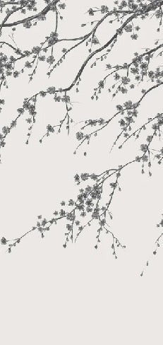 Papier peint panoramique fleur Sakura noir et blanc, XXL, tendance