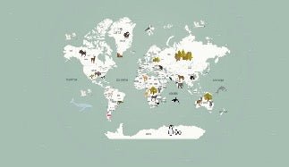 Children's French world map wallpaper green