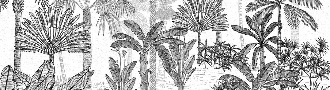 Trendy coconut jungle wallpaper