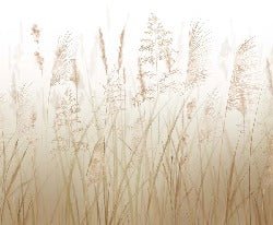 Wheat field flower wallpaper