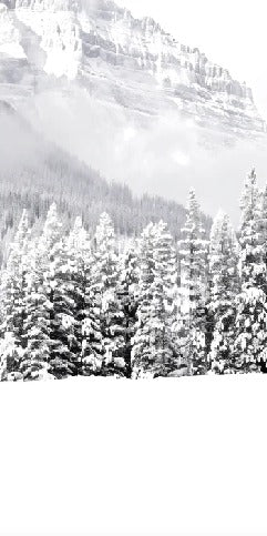 Panoramic mountain chalet wallpaper