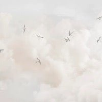 Panoramic wallpaper - Timeless sky