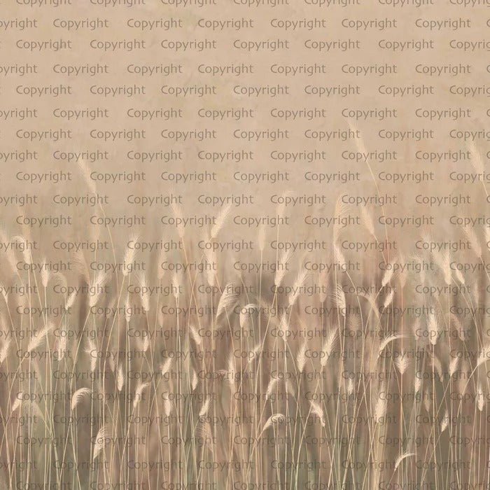 Beige panoramic wild grass wallpaper