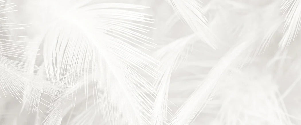 Subtle feather wallpaper