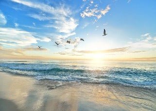 Paradise Beach wallpaper