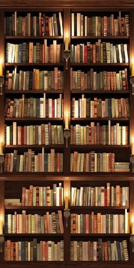 Authentique Bibliothèque trompe l'oeil wallpaper