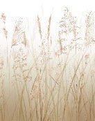 Wheat field flower wallpaper