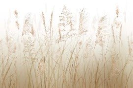 Wheat field flower wallpaper