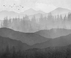 Papier peint panorama nature noir et blanc, XXL, tendance