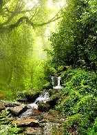 Cascade & Forest wallpaper