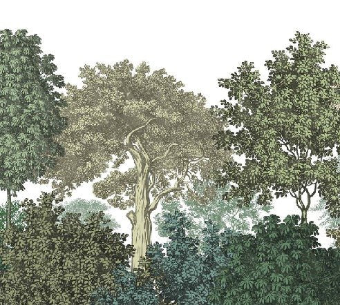 Forest landscape engraving restaurant wallpaper