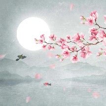 Poetic cherry blossom wallpaper