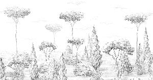 Panoramic antique forest wallpaper