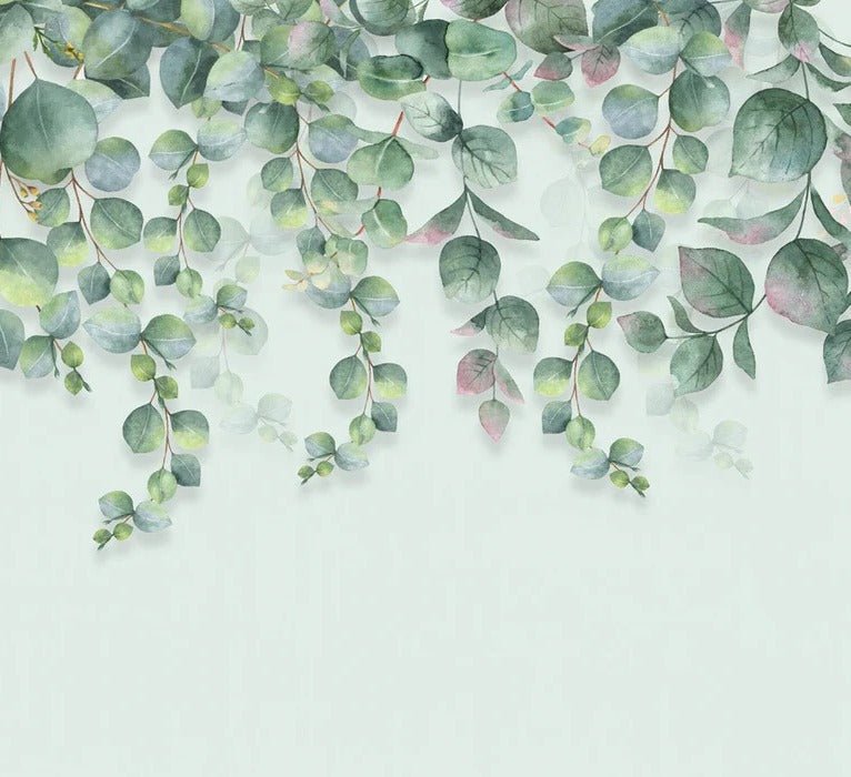 Eucalyptus plant wallpaper