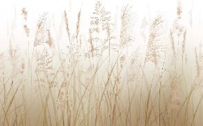 Wheat field flower wallpaper