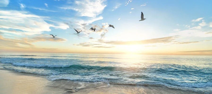 Paradise Beach wallpaper