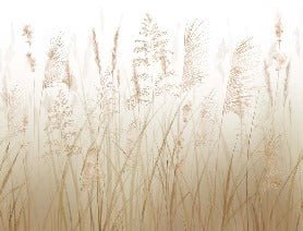 Wheat field flower wallpaper