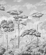 Black and white pine forest panoramic wallpaper