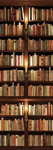 Papier peint trompe l'oeil Authentique Bibliothèque, XXL, tendance