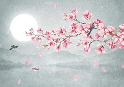 Poetic cherry blossom floral wallpaper