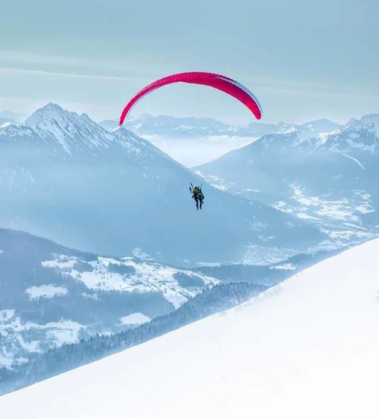 Blue fly in the Alps mountain photo wallpaper