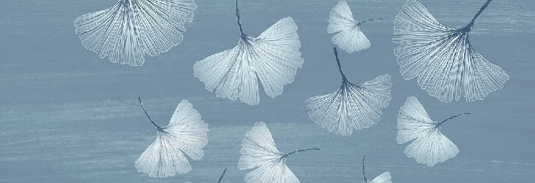 Bathroom wallpaper japandi blue gingko