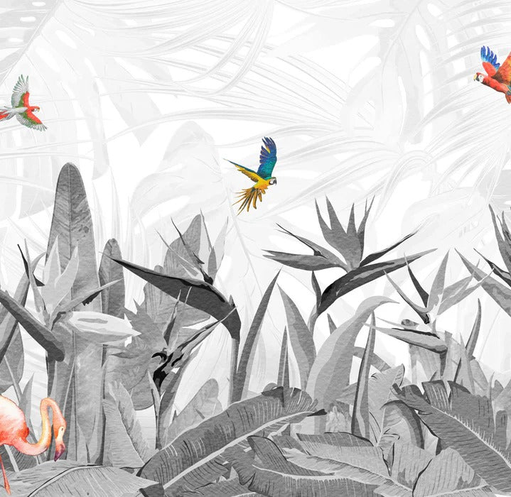 Black and white bird of paradise wallpaper