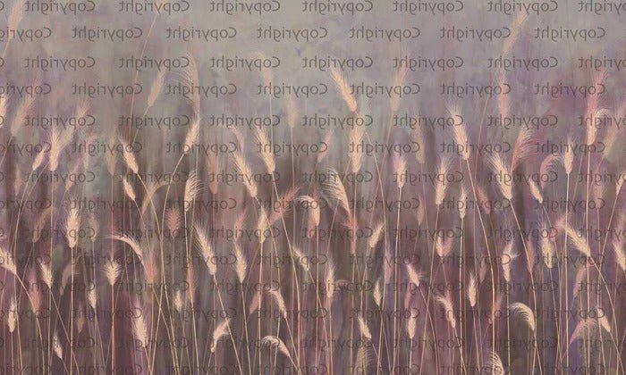 Wild grass panoramic pink wallpaper