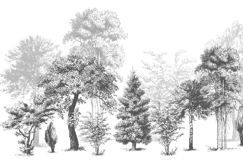 Nature bathroom wallpaper in black and white