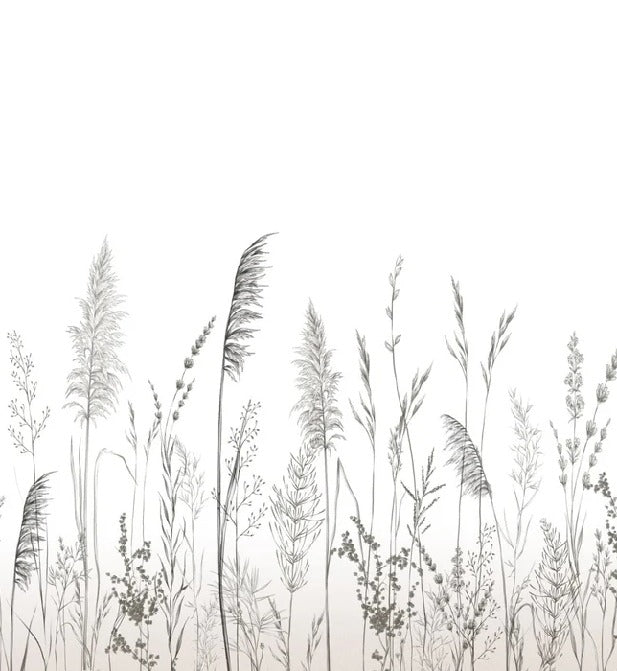 Poetic pampas wallpaper