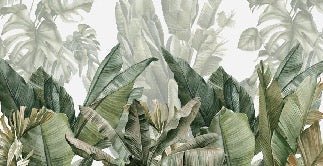 Panoramic green banana wallpaper