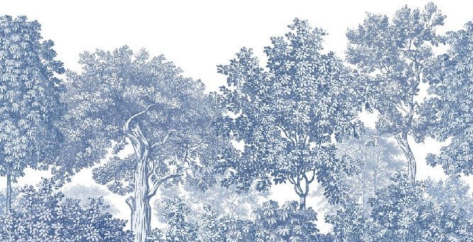 Landscape wallpaper forest blue engraving