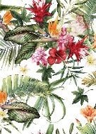 Tropical wallpaper & Colorful flowers